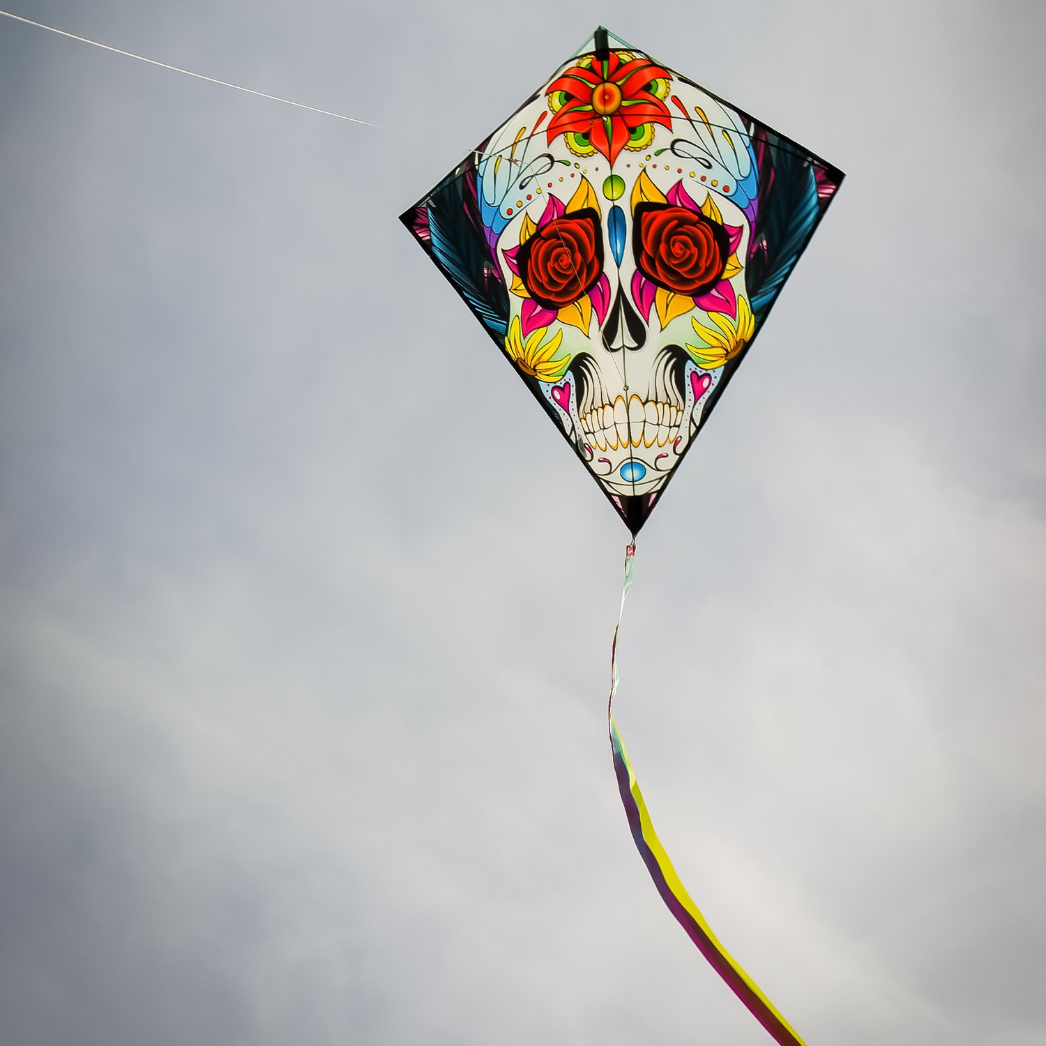 Sugar Skull 30 inch Diamond Kite, In the Breeze