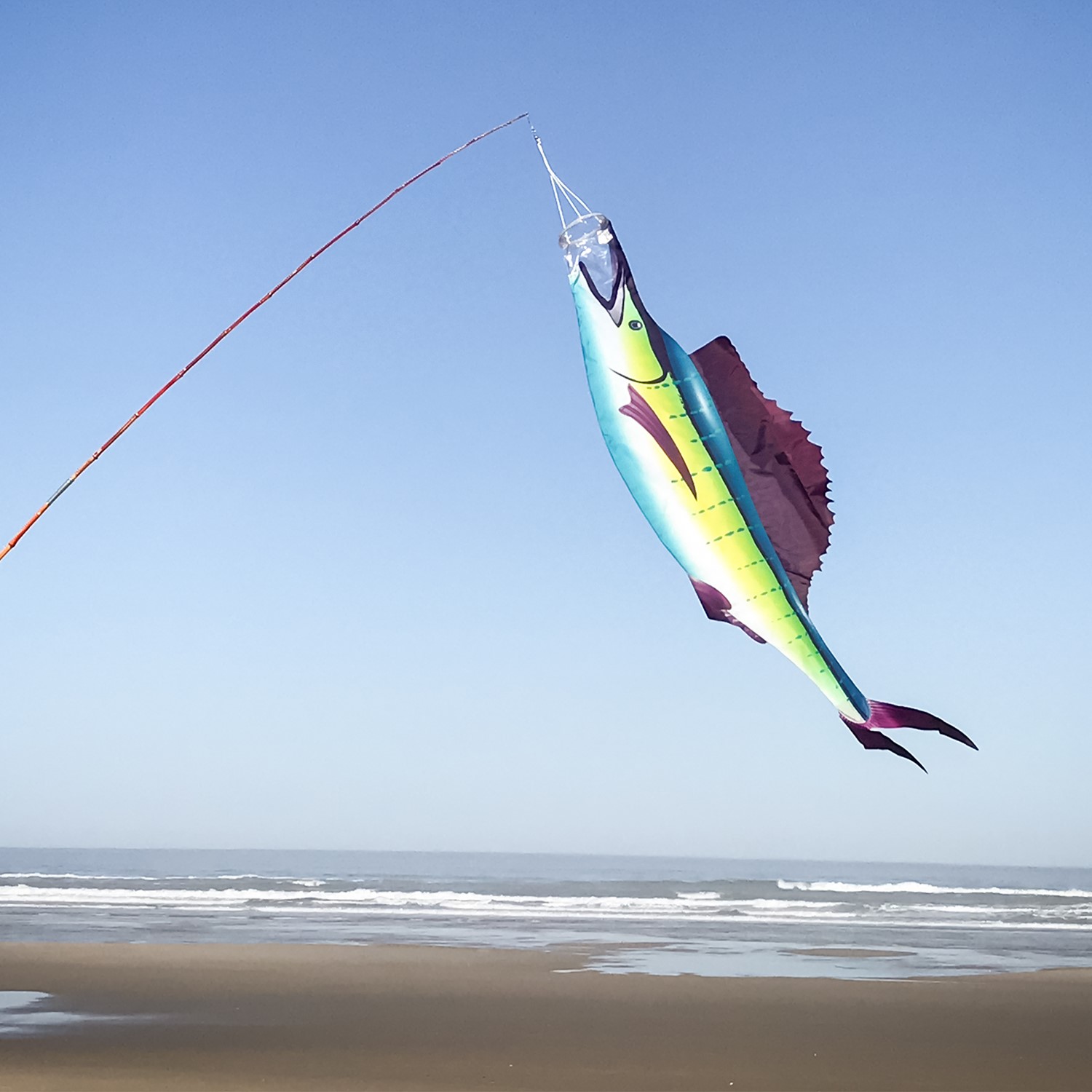 Wahoo 48 Fish Windsock, In the Breeze