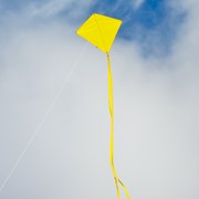 In the Breeze Yellow Colorfly 30" Diamond Kite 2990 View 2