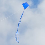 In the Breeze Blue Colorfly 30" Diamond Kite 2992 View 2