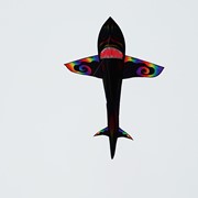 In the Breeze 7.5' Aurora 3D Shark Kite 3324 View 2