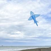 In the Breeze 5' 3D Blue Shark Kite 3336 View 2