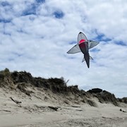 In the Breeze 5' 3D Grey Shark Kite 3338 View 2