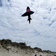 In the Breeze 5' 3D Black Shark 3343 View 2