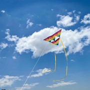 X-Kites & WindNSun SuperSize Tetra Kite X-72229 View 2