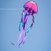 In the Breeze 22" Jellyfish Dancing Dragon Kite 3348 View 2