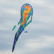 In the Breeze 22" Seahorse Dancing Dragon Kite 3352 View 2