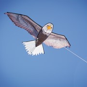 In the Breeze 70" Bald Eagle Kite 3373 View 2