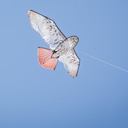 In the Breeze 70" Red-Tailed Hawk Kite 3374 View 2