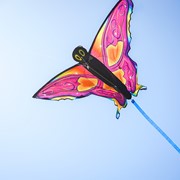 In the Breeze Fancy Butterfly Kite 3382 View 2