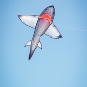 In the Breeze 5' Realistic Shark Kite 3383 View 2