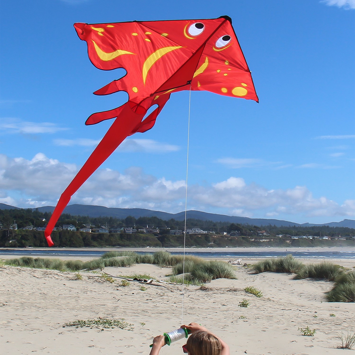 Red Stingray Kite, In the Breeze