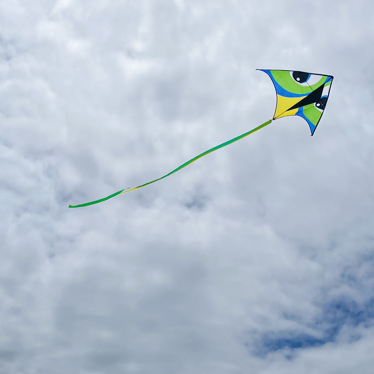 Kite Flying Tote (light green)