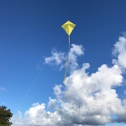 In the Breeze Yellow Colorfly 30" Diamond Kite 2990 View 3