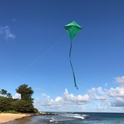 In the Breeze Green Colorfly 30" Diamond Kite 2991 View 3