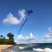 In the Breeze Blue Colorfly 30" Diamond Kite 2992 View 3