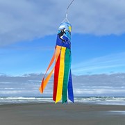 In the Breeze Orca Whale 40" Windsock 4172 View 3