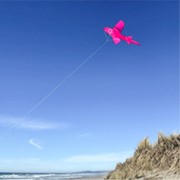 In the Breeze 5' 3D Pink Shark Kite 3334 View 3