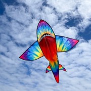 In the Breeze 5' 3D Tie Dye Shark Kite 3342 View 3