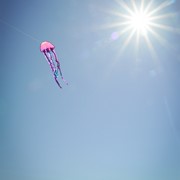 In the Breeze 22" Jellyfish Dancing Dragon Kite 3348 View 3