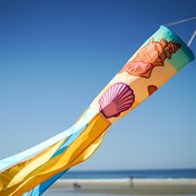 In the Breeze Seashell 40" Windsock 5196 View 3