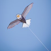 In the Breeze 70" Bald Eagle Kite 3373 View 3