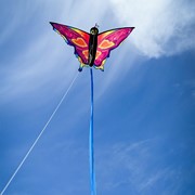 In the Breeze Fancy Butterfly Kite 3382 View 3