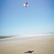 In the Breeze 5' Realistic Shark Kite 3383 View 3