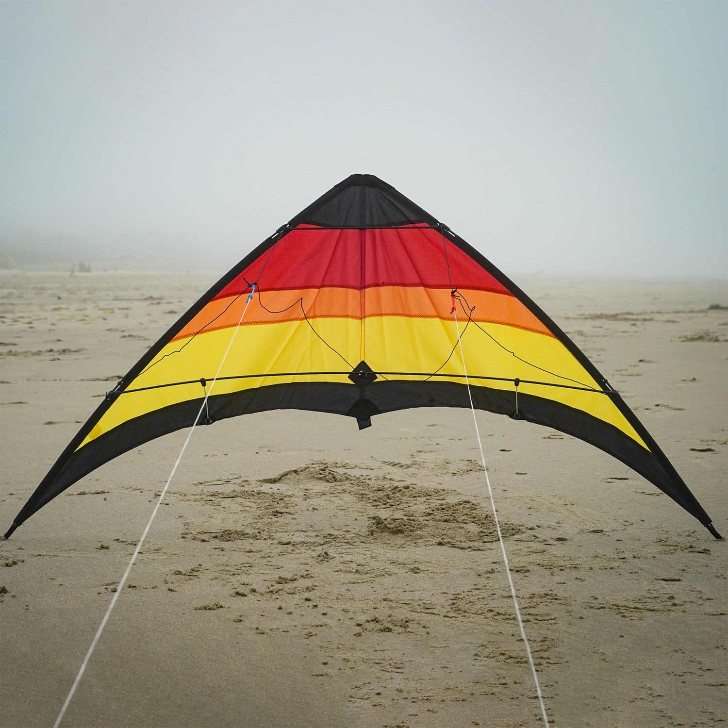 In the Breeze 3346 —Aurora 48 Stunt Kite — Colorful Dual Line Sport Kite