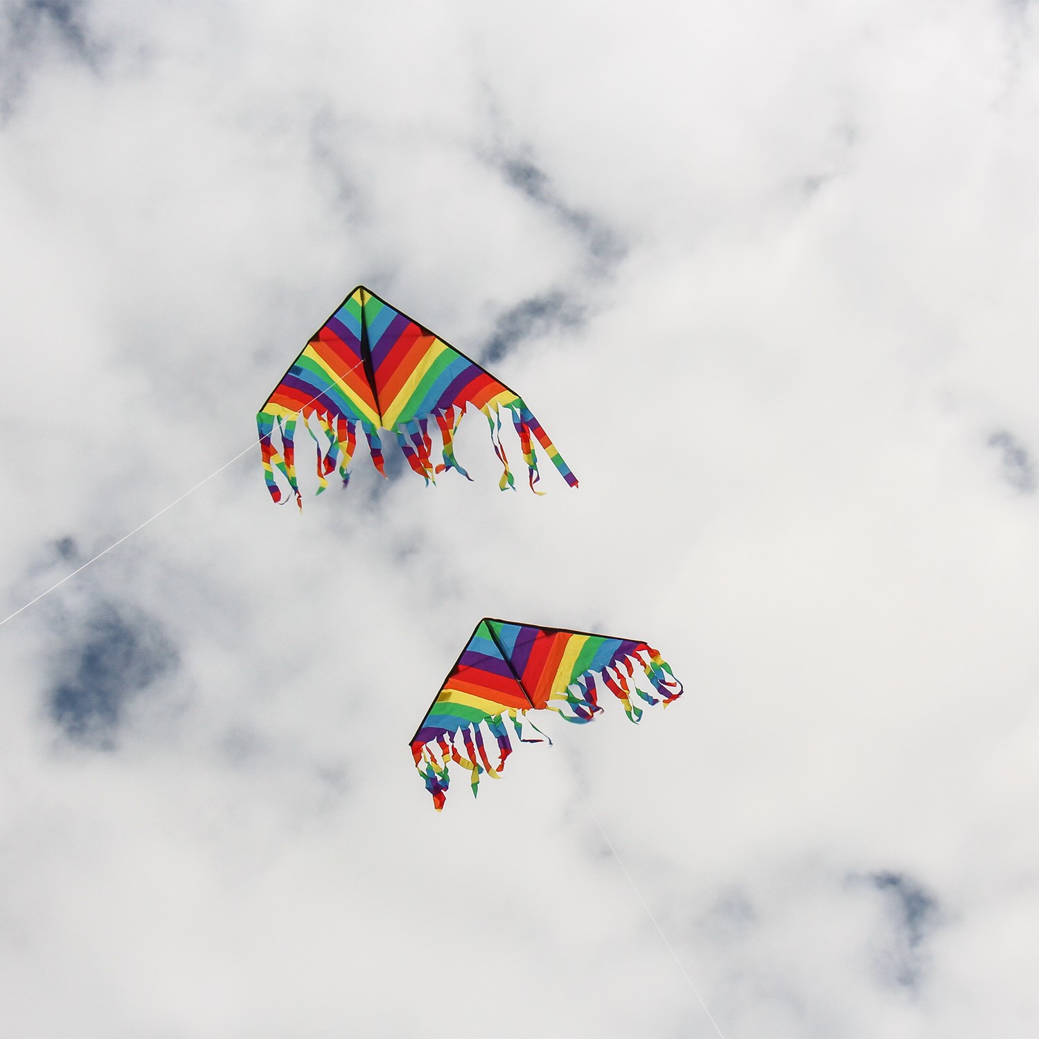  In the Breeze Rainbow Stripe Flutterfly Delta Kite, 43 : Toys  & Games