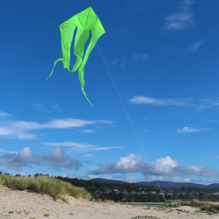 In the Breeze 3226 — Green 77-inch Wave Delta - Single Line Kite