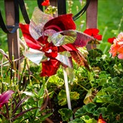 In the Breeze Red & Silver Mylar Pinwheels - 8 PC 2761 View 4