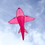 In the Breeze 5' 3D Pink Shark Kite 3334 View 4