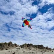 In the Breeze 5' 3D Tie Dye Shark Kite 3342 View 4