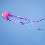 In the Breeze 22" Jellyfish Dancing Dragon Kite 3348 View 4