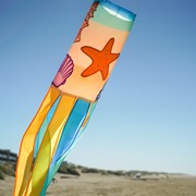 In the Breeze Seashell 40" Windsock 5196 View 4