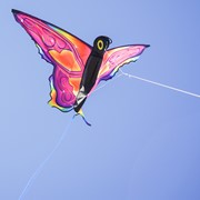 In the Breeze Fancy Butterfly Kite 3382 View 4