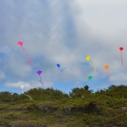 In the Breeze Orange Colorfly 30" Diamond Kite 2989 View 5