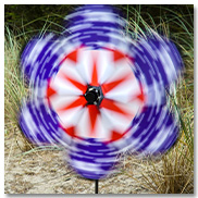 19-inch Patriot Star Flower Spinner