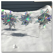 Snowflake Pinwheels