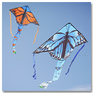 Butterfly Fly-Hi Kites