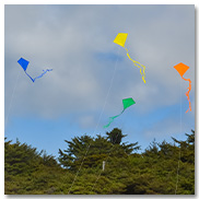 Colorfly Diamond Kites