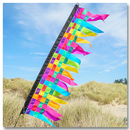 Fiesta Weave Banner