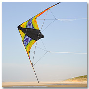 Groovy Stunter Sport Kite