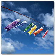 Koi Windsocks