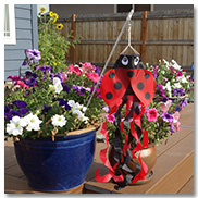 Ladybug Windsock on a Wand