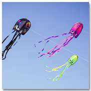 Pop Jelly Kites