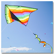 Rainbow Stripe Delta Kite with Spinning Tail