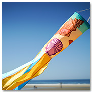 Seashell Windsock