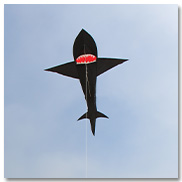 Shark Kite